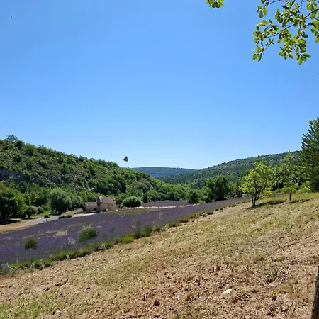 Dom wakacyjny Cabanon Provencal En Pierre Entoure De Lavandes Vachères
