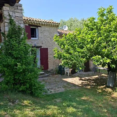 Cabanon Provencal En Pierre Entoure De Lavandes *