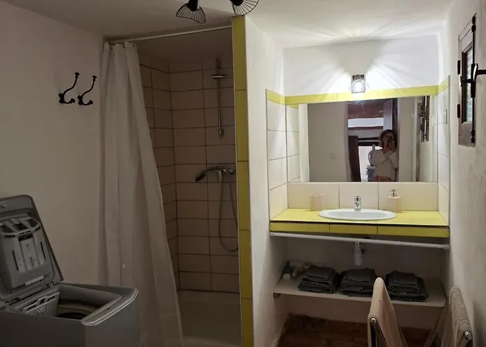 Hébergement de vacances Cabanon Provençal En Pierre Entouré De Lavandes